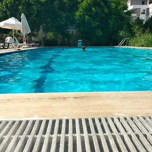 Begonvil Antalya
